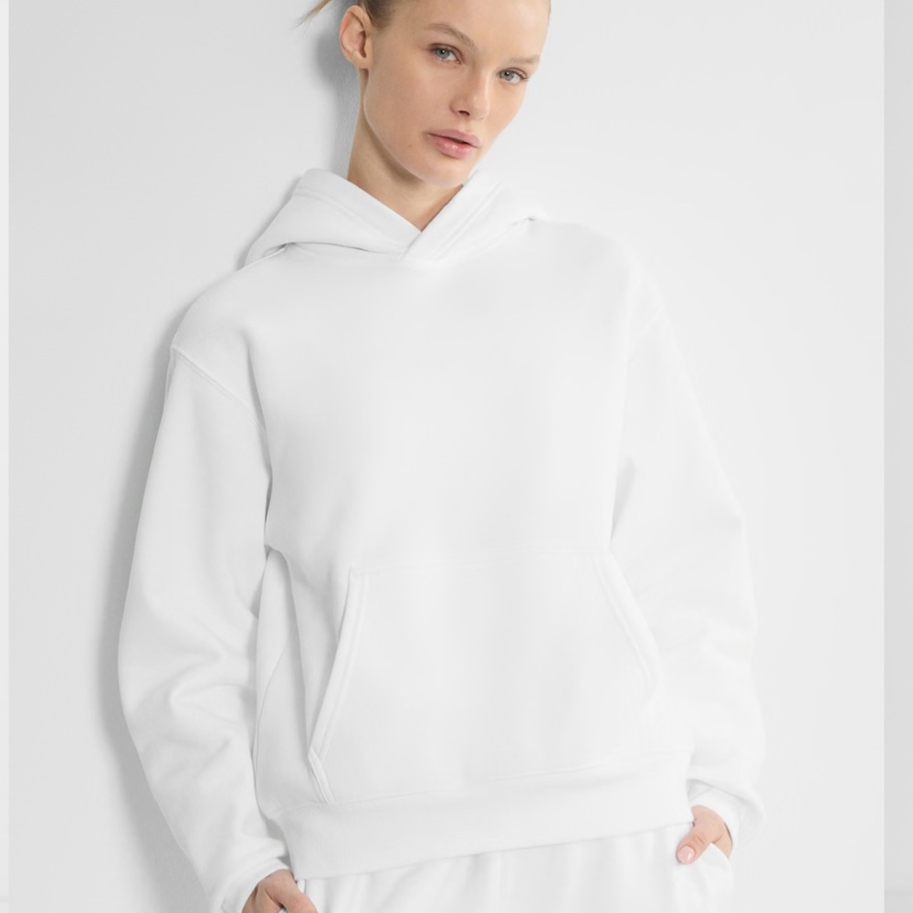 Aritzia Cozy Sweatfleece Perfect Hoodie